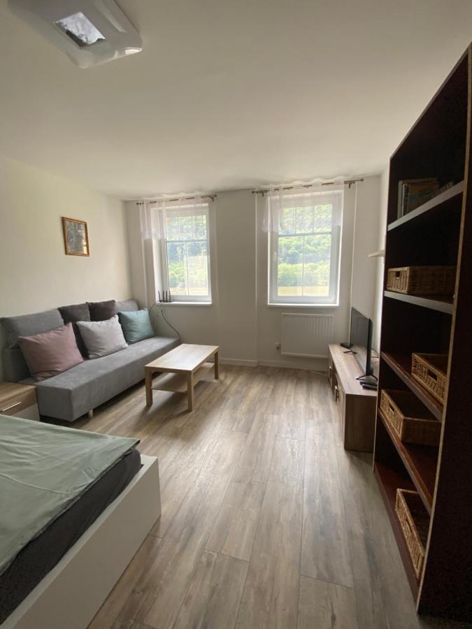 Apartmany U Viaduktu 46 Ústí nad Labem Extérieur photo
